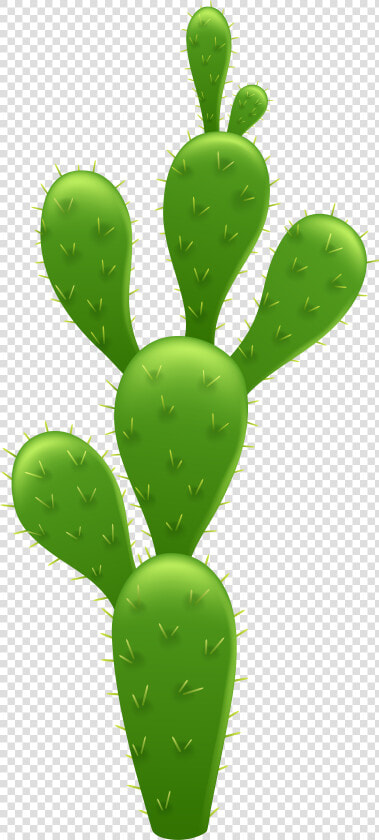 Cactus Transparent Background   Transparent Background Cactus Clipart  HD Png DownloadTransparent PNG