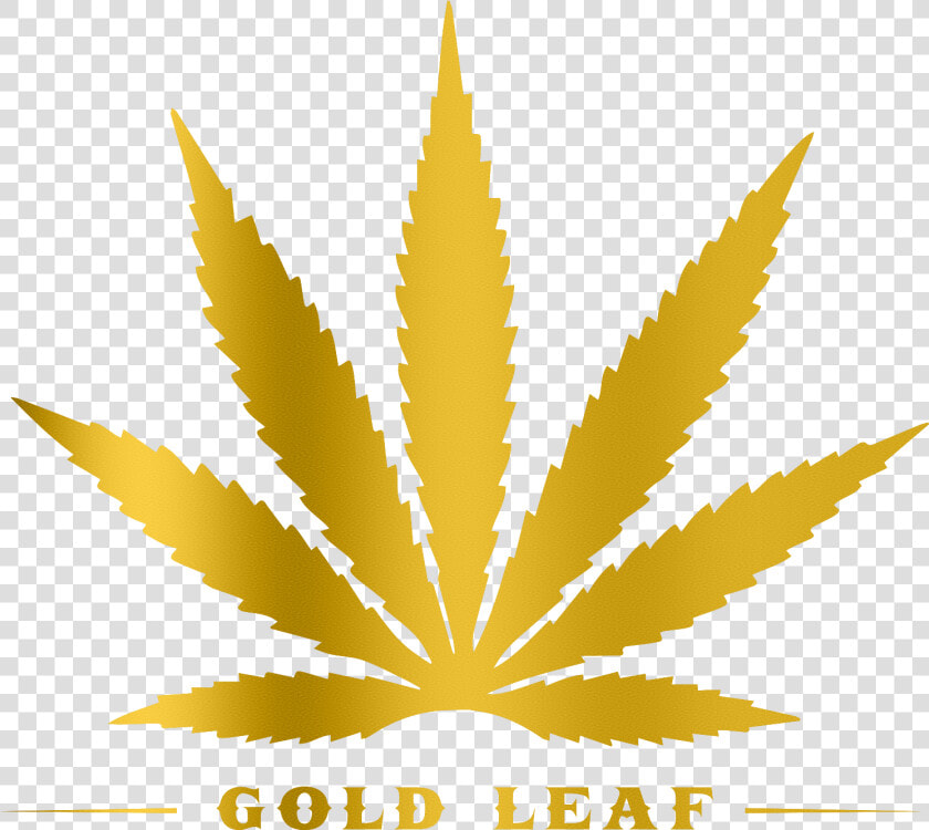 Transparent Real Weed Leaf Png   Toronto Maple Leafs Marijuana  Png DownloadTransparent PNG