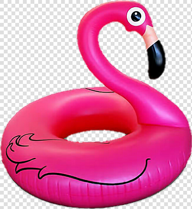 Flamingo Inflatable Pool Summer   Flamingo Pool Party Png  Transparent PngTransparent PNG