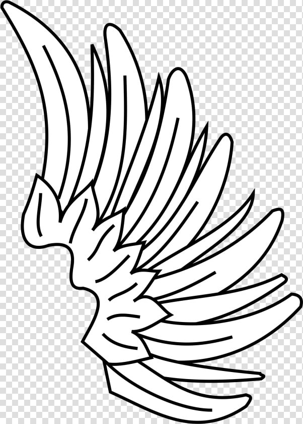 Transparent Asas Png   Wing Heraldry Symbol  Png DownloadTransparent PNG