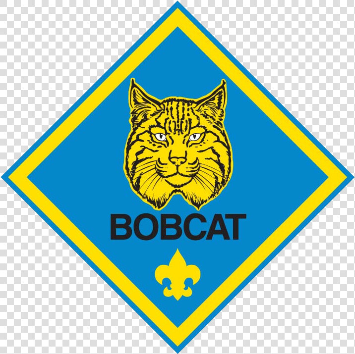 The Bobcat Rank Badge Is The First Rank In Cub Scouts   Cub Scout Ranks  HD Png DownloadTransparent PNG