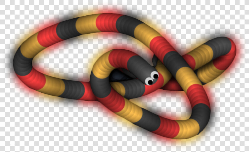 Sonoran Coral Snake  HD Png DownloadTransparent PNG