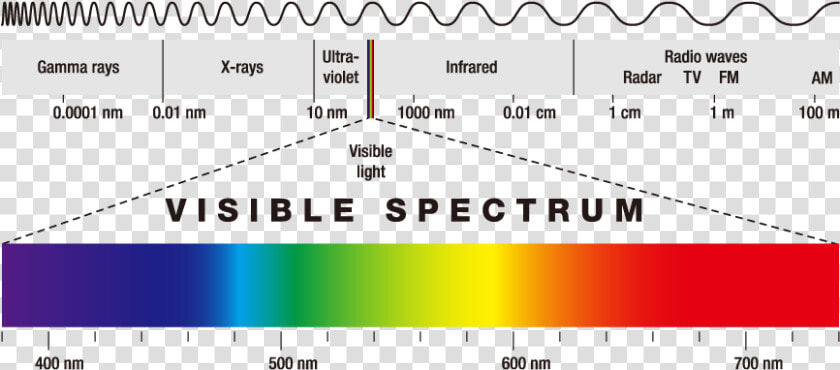 Espectro De Luz Infravermelho  HD Png DownloadTransparent PNG