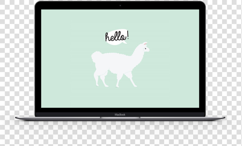 Alpaca Laptop   Llama  HD Png DownloadTransparent PNG