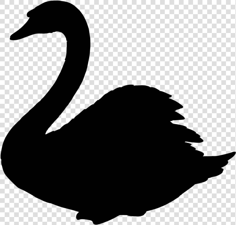 Swan Clipart Transparent Background   Transparent Background Swan Clip Art  HD Png DownloadTransparent PNG