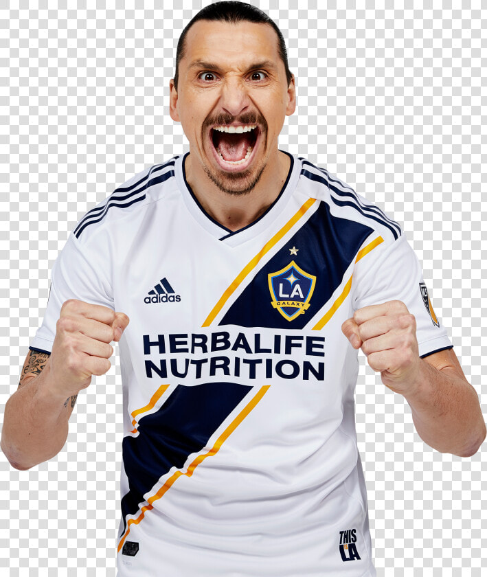 Zlatan Png  zlatan Ibrahimovic Render   Ибрагимович Млс  Transparent PngTransparent PNG