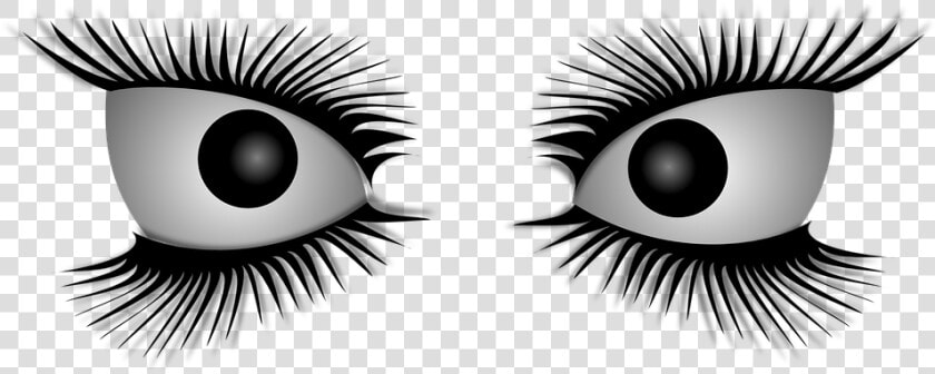 Eyes  Eyelashes  Crazy  Demented  Enrage  Evil  Insane   Crazy Eyes No Background  HD Png DownloadTransparent PNG