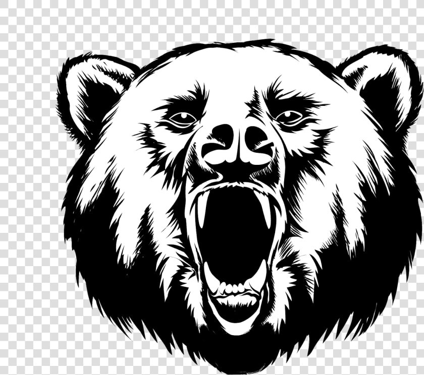 Grizzly Drawing Face   Black Bear Head Drawing  HD Png DownloadTransparent PNG