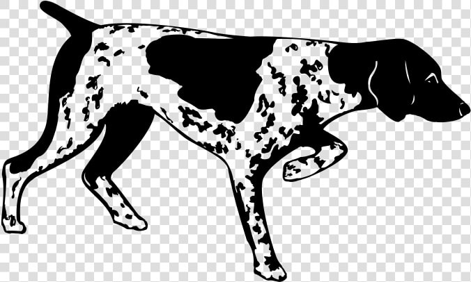 Dog Clipart Gsp Pointer Silhouette   Bird Dog Silhouette Png  Transparent PngTransparent PNG