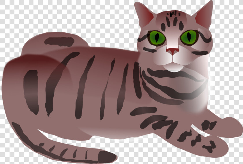 Calico Cat Kitten Tabby Cat Clip Art   Tabby Cat Clip Art  HD Png DownloadTransparent PNG