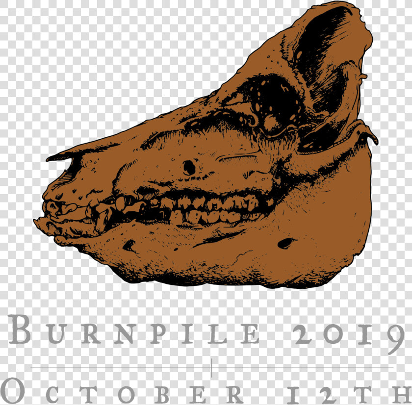 Rhinoceros  HD Png DownloadTransparent PNG