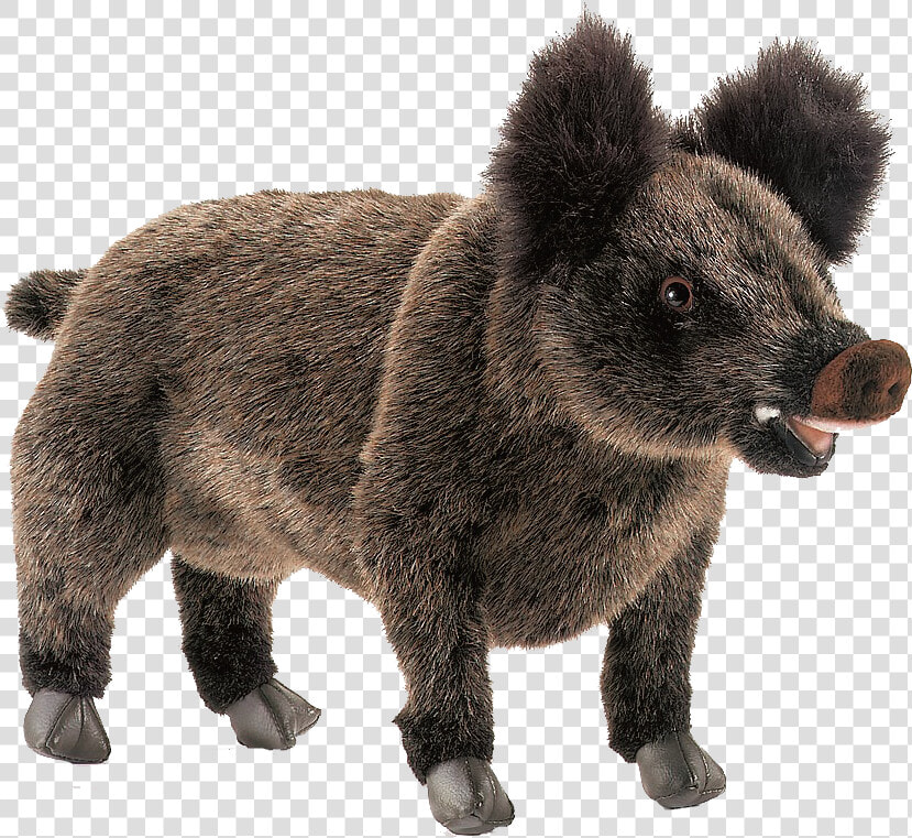 Wild Boar Free Pictures   Stuffed Toy  HD Png DownloadTransparent PNG