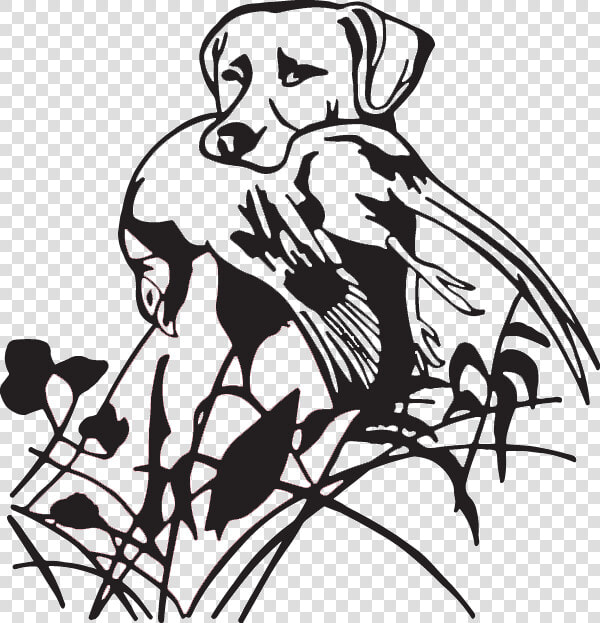 Duck Goose Labrador Retriever Hunting Dog Waterfowl   Duck Hunting Dog Clip Art  HD Png DownloadTransparent PNG