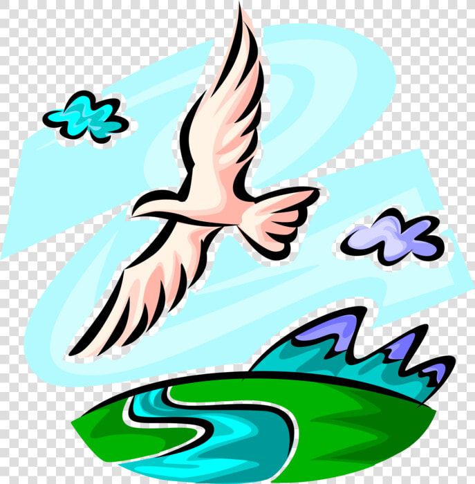 Vector Illustration Of Seagull Bird Flies In Healthy   Bird Flying Over The River  HD Png DownloadTransparent PNG