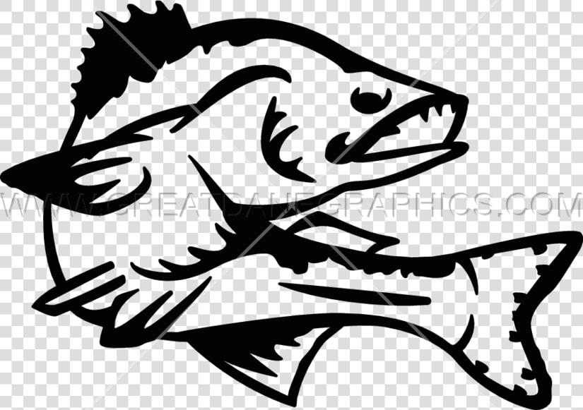 Walleye Vector Clipart Black And White Stock   Walleye Clipart Black And White  HD Png DownloadTransparent PNG