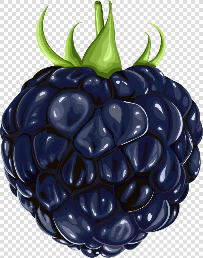 Berries Clipart Blackberry   Fruit Blackberry Png  Transparent PngTransparent PNG