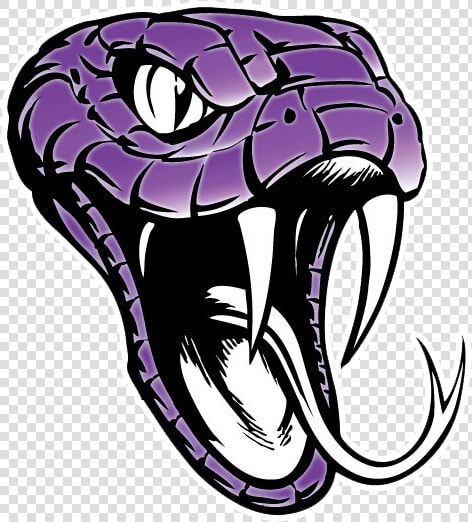 School Logo Image   Easy Realistic Easy Snake Drawing  HD Png DownloadTransparent PNG