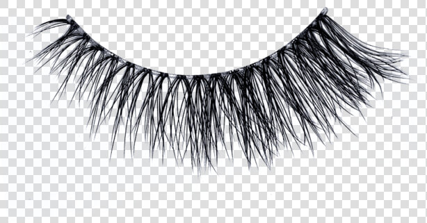 Eyelash Extensions  HD Png DownloadTransparent PNG