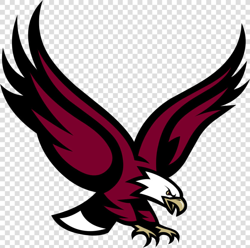 Eagle Vector   Boston College Eagle Logo  HD Png DownloadTransparent PNG