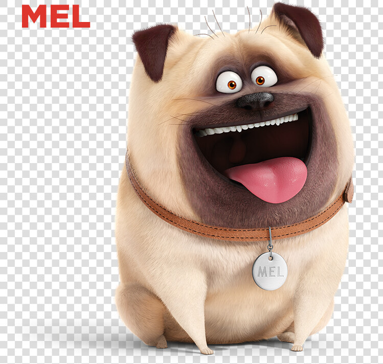 Mel The Secret Life Of Pets  HD Png DownloadTransparent PNG