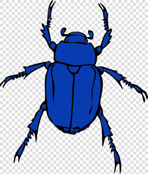 Blue Bug Clipart Clipartfest   Bug Clipart  HD Png DownloadTransparent PNG