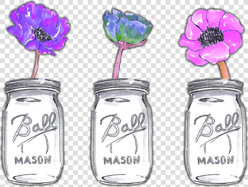  ftestickers  watercolor  flowers  masonjars  colorful   Watercolor Mason Jar Flowers Png  Transparent PngTransparent PNG