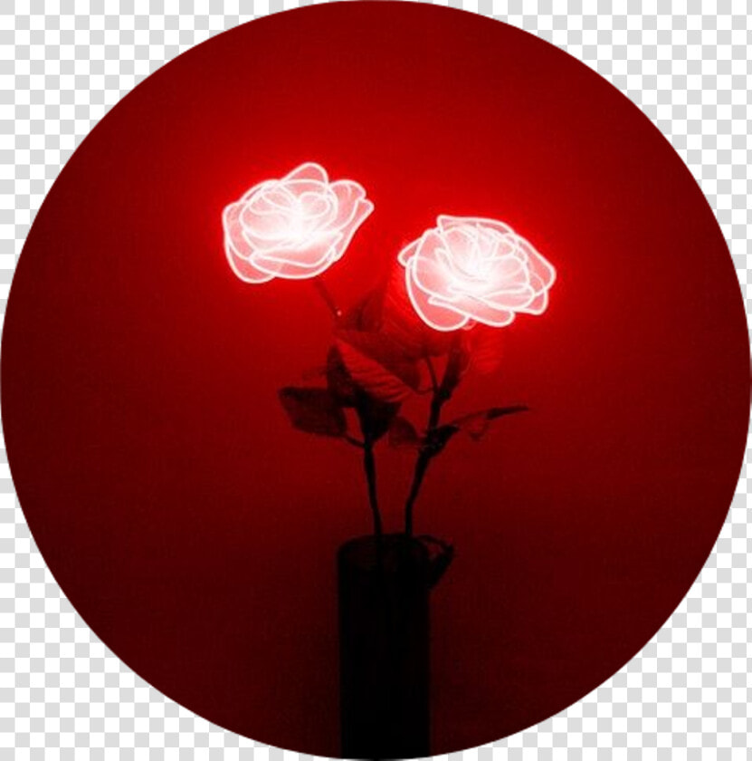 Neon Lighting Red Neon Sign   Aesthetic Tumblr Red Rose  HD Png DownloadTransparent PNG