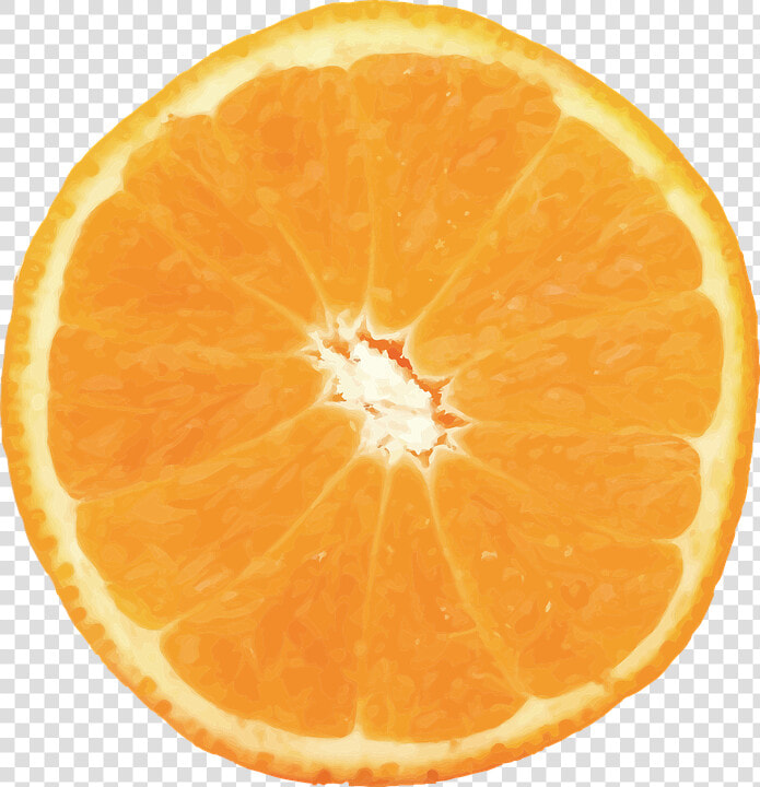 Naranja  Vector  Fruta  Cítricos  Fruto  Alimentos   Orange Half Png  Transparent PngTransparent PNG