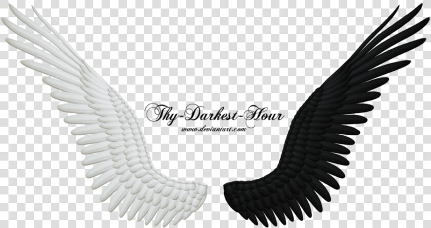 More Like Good And Evil Angel Wings Png 05 By Thy   Black And White Wings Png  Transparent PngTransparent PNG