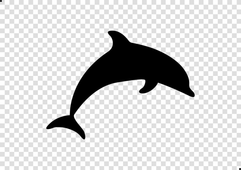 Dolphin Seat   Filling   Dolphin Icon Png  Transparent PngTransparent PNG