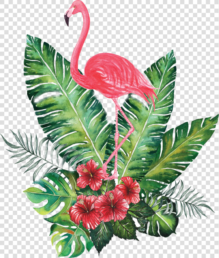 Flower Crowns Png  green Flower Crown Png   Tropical Flamingo  Transparent PngTransparent PNG