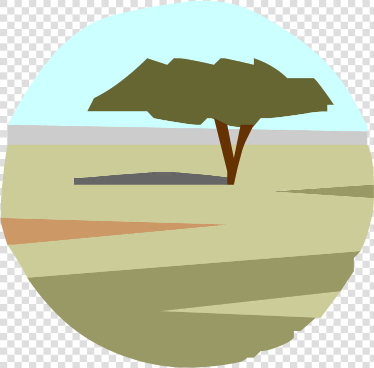 Tropical Rainforest   Png Download   Tropical Savanna Icon Png  Transparent PngTransparent PNG