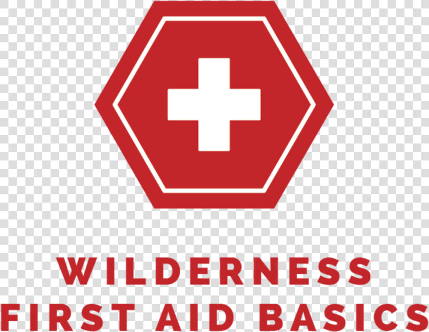 Aimu Wildernessfirstaidbasics   Wilderness First Aid Cards  HD Png DownloadTransparent PNG