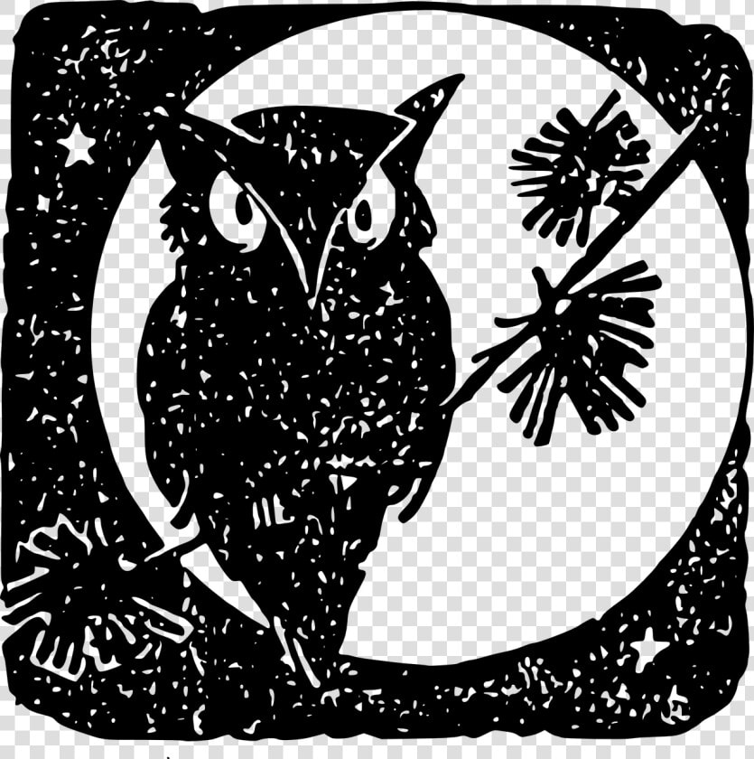 Owl Moon Bird Free Photo   Gambar Burung Hantu Dan Bulan  HD Png DownloadTransparent PNG