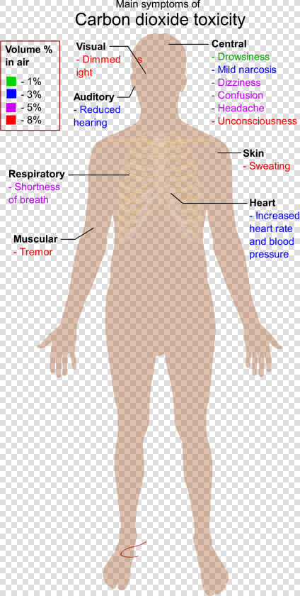 Main Symptoms Of Carbon Dioxide Toxicity Clip Arts   Main Symptoms Of Carbon Dioxide Toxicity  HD Png DownloadTransparent PNG