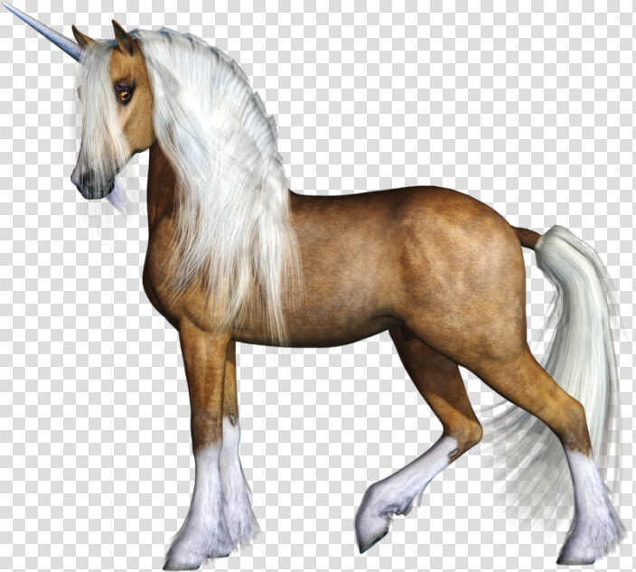 Unicorn Png Clipart   Realistic Unicorn Images Transparent Background  Png DownloadTransparent PNG