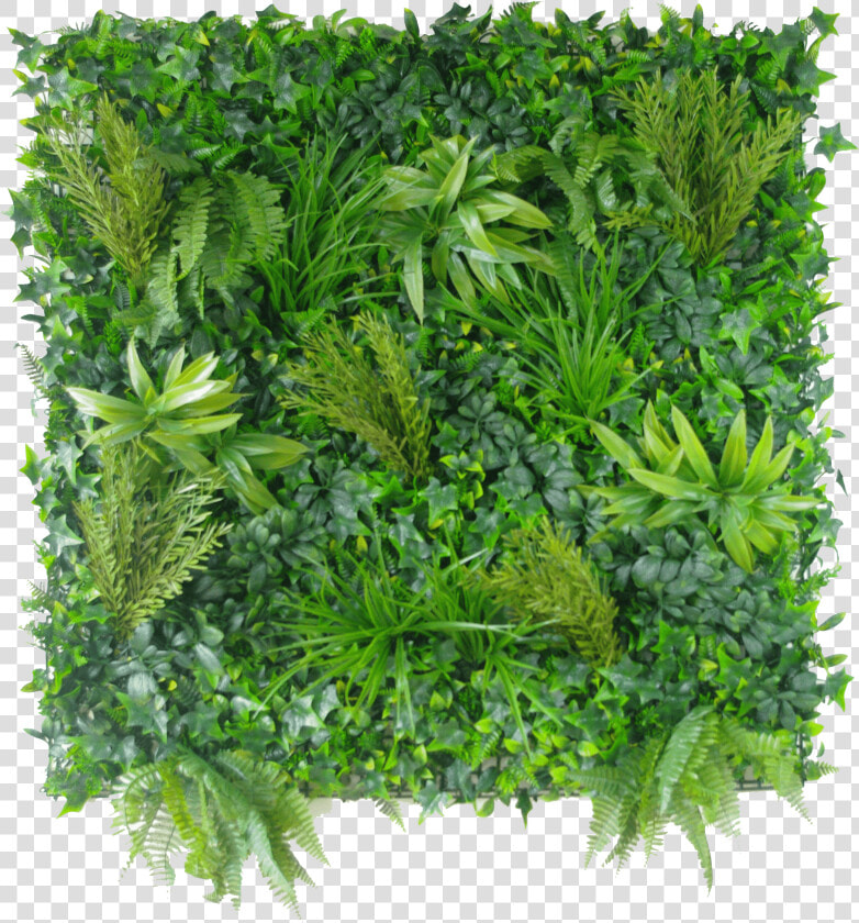 Vertical Garden Wall Png  Transparent PngTransparent PNG