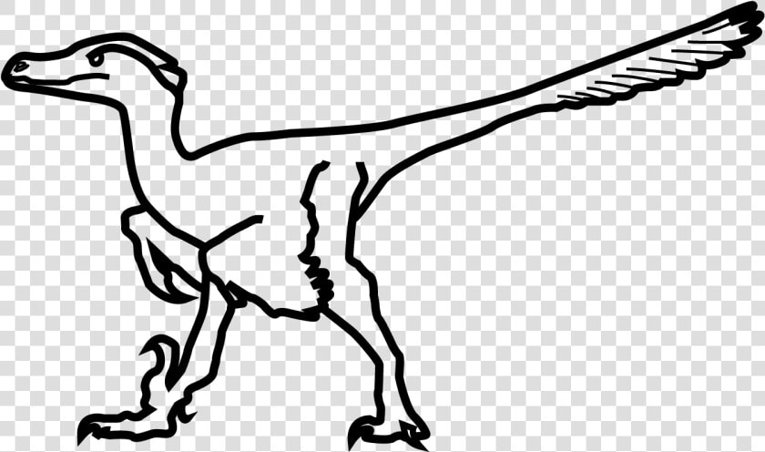 Velociraptor  HD Png DownloadTransparent PNG