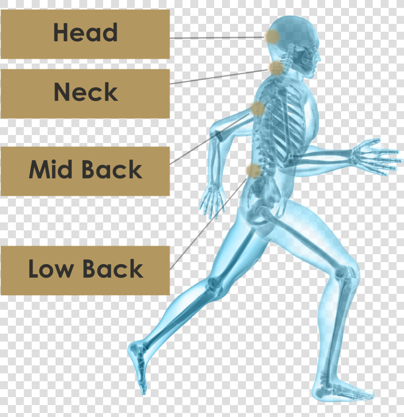 Orthopedic Image Png  Transparent PngTransparent PNG