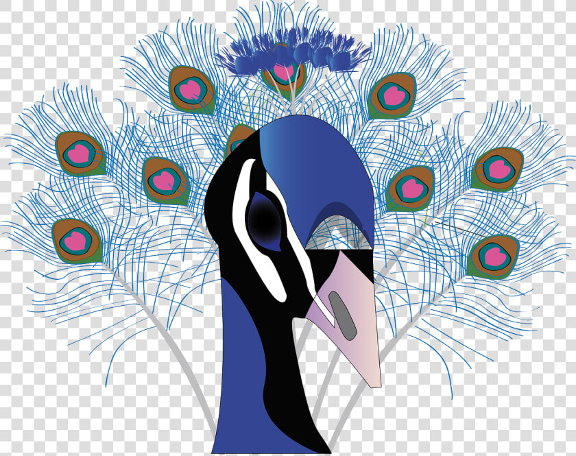 Colorama Coloring Book Peacock  HD Png DownloadTransparent PNG