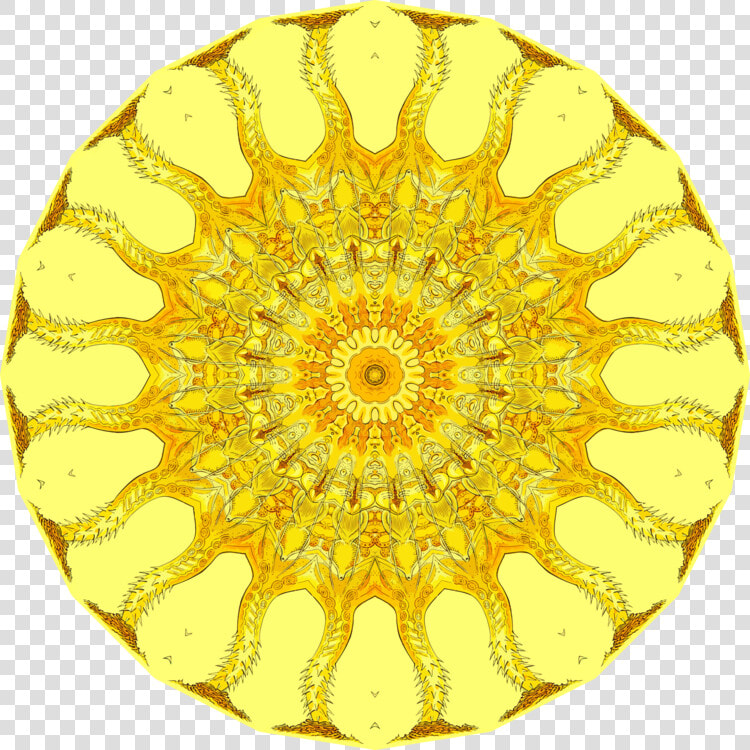 Pollen circle ceiling   Caution Laser Radiation  HD Png DownloadTransparent PNG