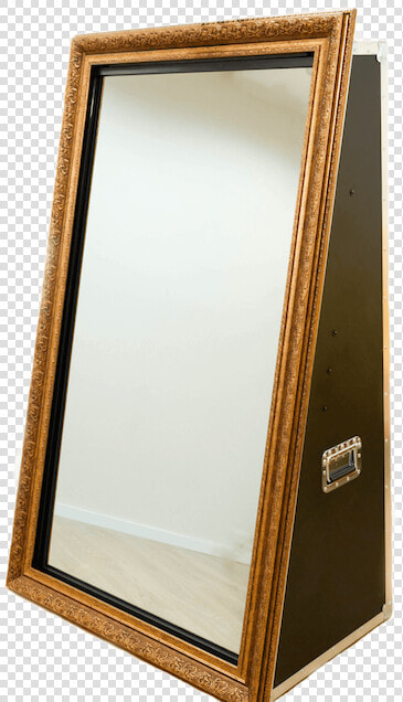 Mirror Photo Booth Blue Wren  HD Png DownloadTransparent PNG