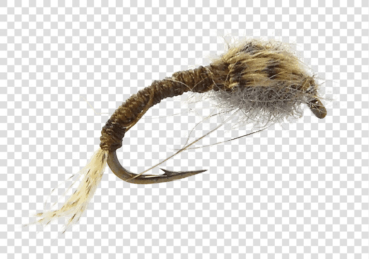 Midge Larva  Emerger Fly Pattern  Mayfly Emerger Fly    Fishing Fly Png  Transparent PngTransparent PNG