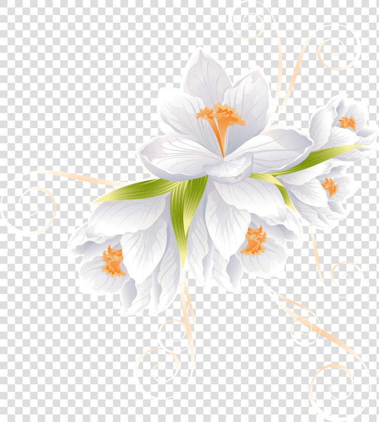 Transparent Flowers Clipart Png   White Flowers Transparent Background  Png DownloadTransparent PNG