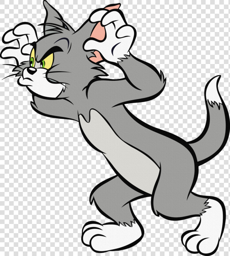 Tom And Jerry Png Image   Cat Tom And Jerry  Transparent PngTransparent PNG