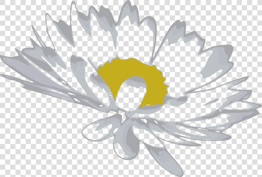 Free Vector Random Free Vectors Part   Camomile Flower Vector Png  Transparent PngTransparent PNG