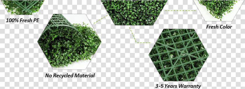 Sunwing Artificial Boxwood Hedges’ Features   Floor  HD Png DownloadTransparent PNG