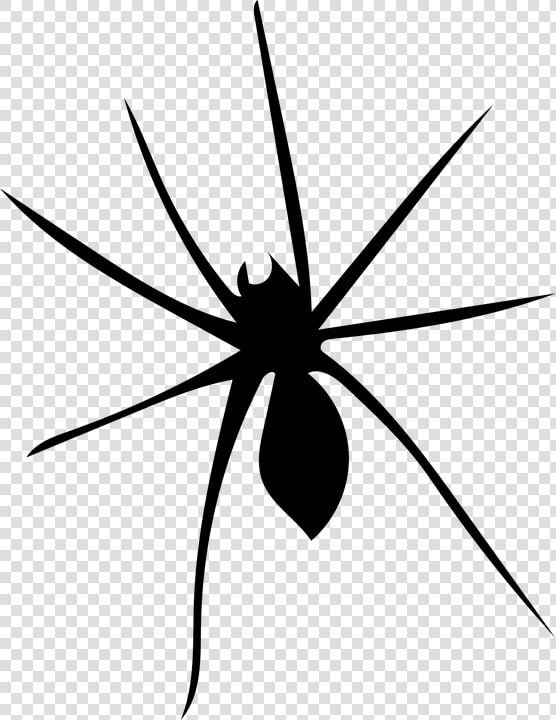 Spider  Arachnophobia  Arachnid  Nature  Scary  Fear  HD Png DownloadTransparent PNG