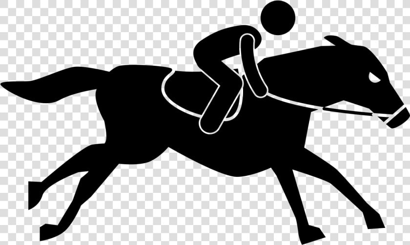 And  Are Successful Horse Trainers The Best Kind Of   Equestrianism  HD Png DownloadTransparent PNG