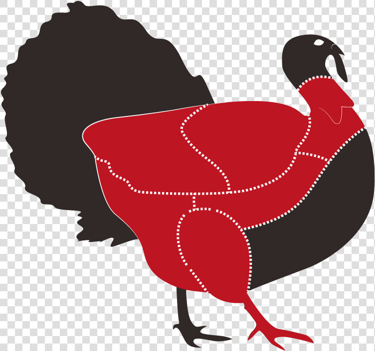 Transparent Pavo Png   Animales Carnes Vector  Png DownloadTransparent PNG